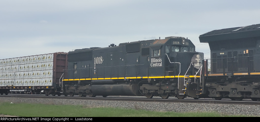 IC 1018